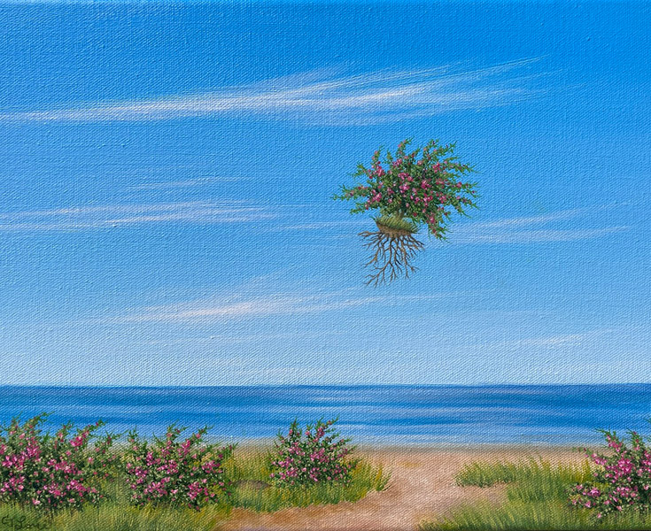 Beach Rose, oil on canvas, 11 x 14