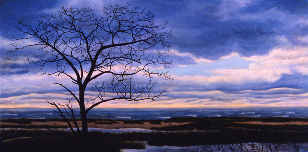 October 30, Boatmeadow, Eastham — oil on canvas, 18 x 36&quot;, 2012