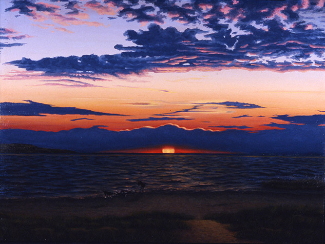 First Encounter — oil on canvas, 36 x 48 x 2&quot;, 2012