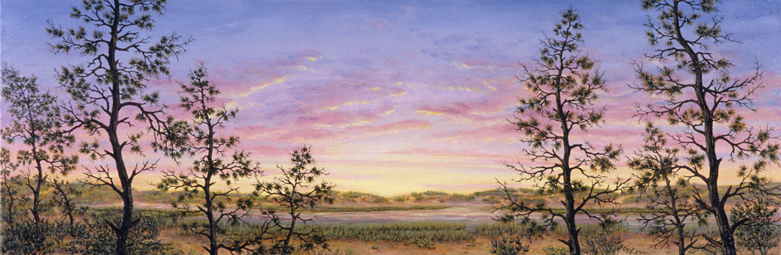Opening Night, Great Island — oil on canvas, 12 x 36&quot;, 2010