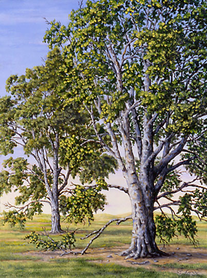 Old Glories, oil on panel, 12 x 9&quot;, 2001 (Sold)